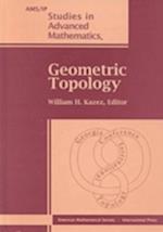 Geometric Topology, Part 1