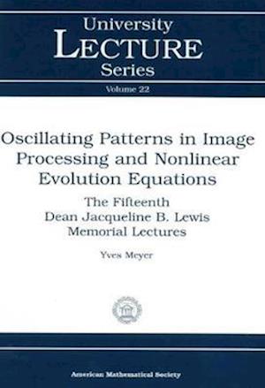 Oscillating Patterns in Image Processing and Nonlinear Evolution Equations