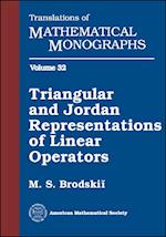 Triangular and Jordan Representations of Linear Operators