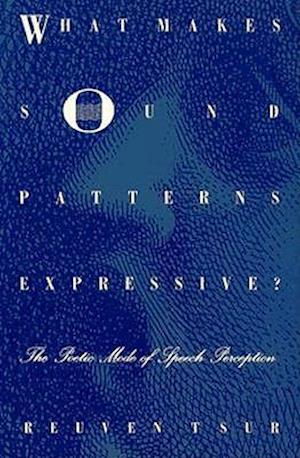 What Makes Sound Patterns Expressive?