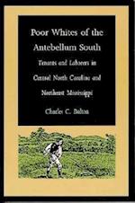 Poor Whites of the Antebellum South
