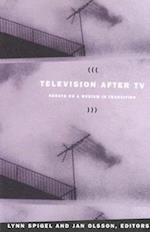 Television after TV