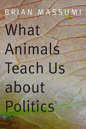 What Animals Teach Us about Politics