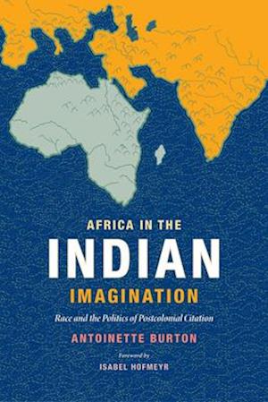 Africa in the Indian Imagination