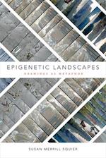 Epigenetic Landscapes