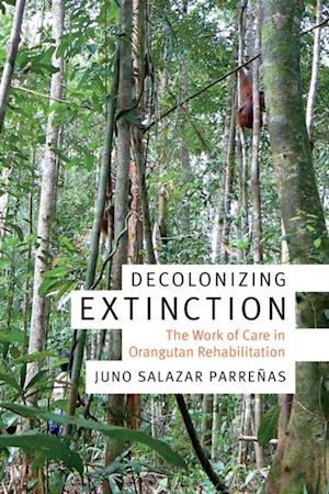 Decolonizing Extinction