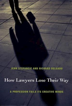 How Lawyers Lose Their Way