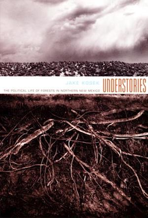 Understories