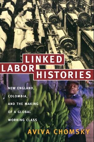 Linked Labor Histories