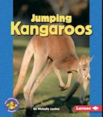 Jumping Kangaroos