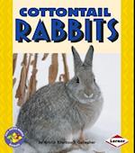 Cottontail Rabbits