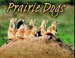 Prairie Dogs