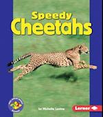 Speedy Cheetahs