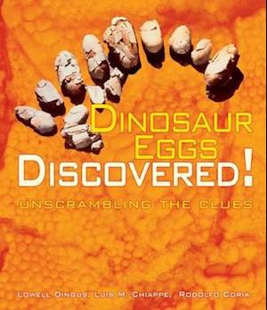 Dinosaur Eggs Discovered