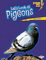 Let's Look at Pigeons