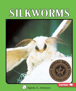 Silkworms