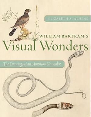 William Bartram's Visual Wonders