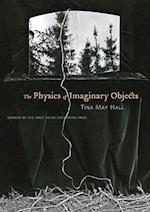 The Physics of Imaginary Objects