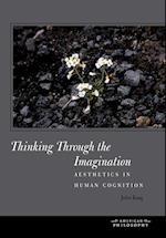 Thinking Through the Imagination
