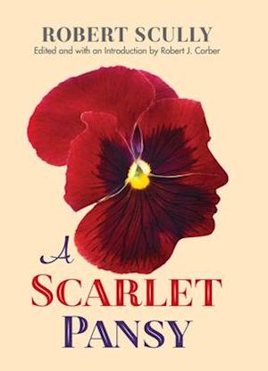 Scarlet Pansy