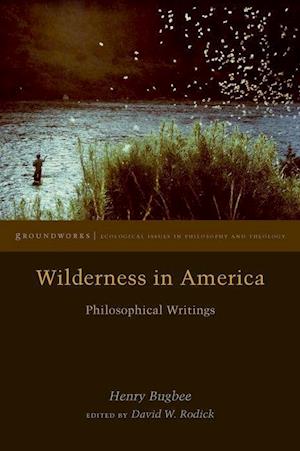 Wilderness in America