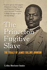 Princeton Fugitive Slave