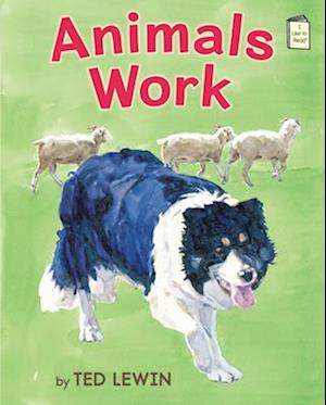 Animals Work