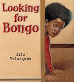Looking for Bongo