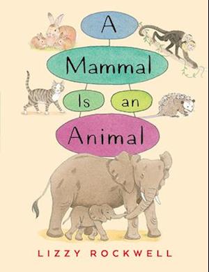 A Mammal Is an Animal