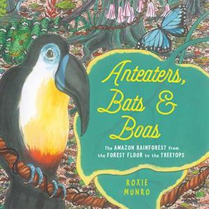 Anteaters, Bats, and Boas