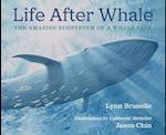 Life After Whale