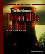 The Meltdown at Three Mile Island