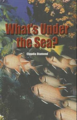 What's Under the Sea?