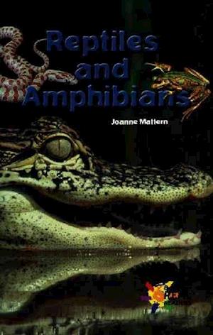 Reptiles and Amphibians