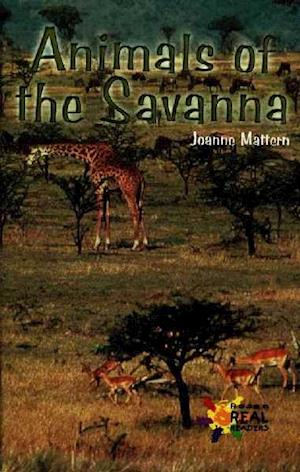 Animals of the Savannah