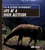 Life at a High Altitude