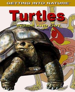 Turtles