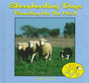 Sheepherding Dogs