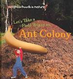 Let's Take a Field Trip to an Ant Colony
