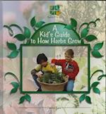 A Kid's Guide to How Herbs Grow