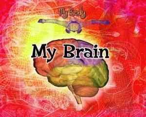 My Brain