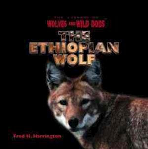 The Ethiopian Wolf