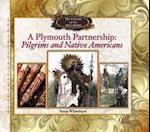 Plymouth Partnership