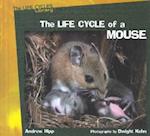 Life Cycle of a Mouse -Lib