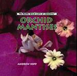 Orchid Mantises