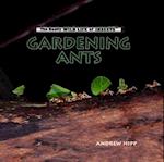 Gardening Ants