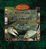 Animals Without Backbones