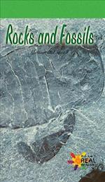 Rocks and Fossils