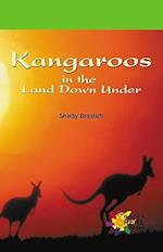 Kangaroos in the Land Down Und