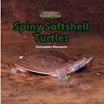 Spiny Softshell Turtles